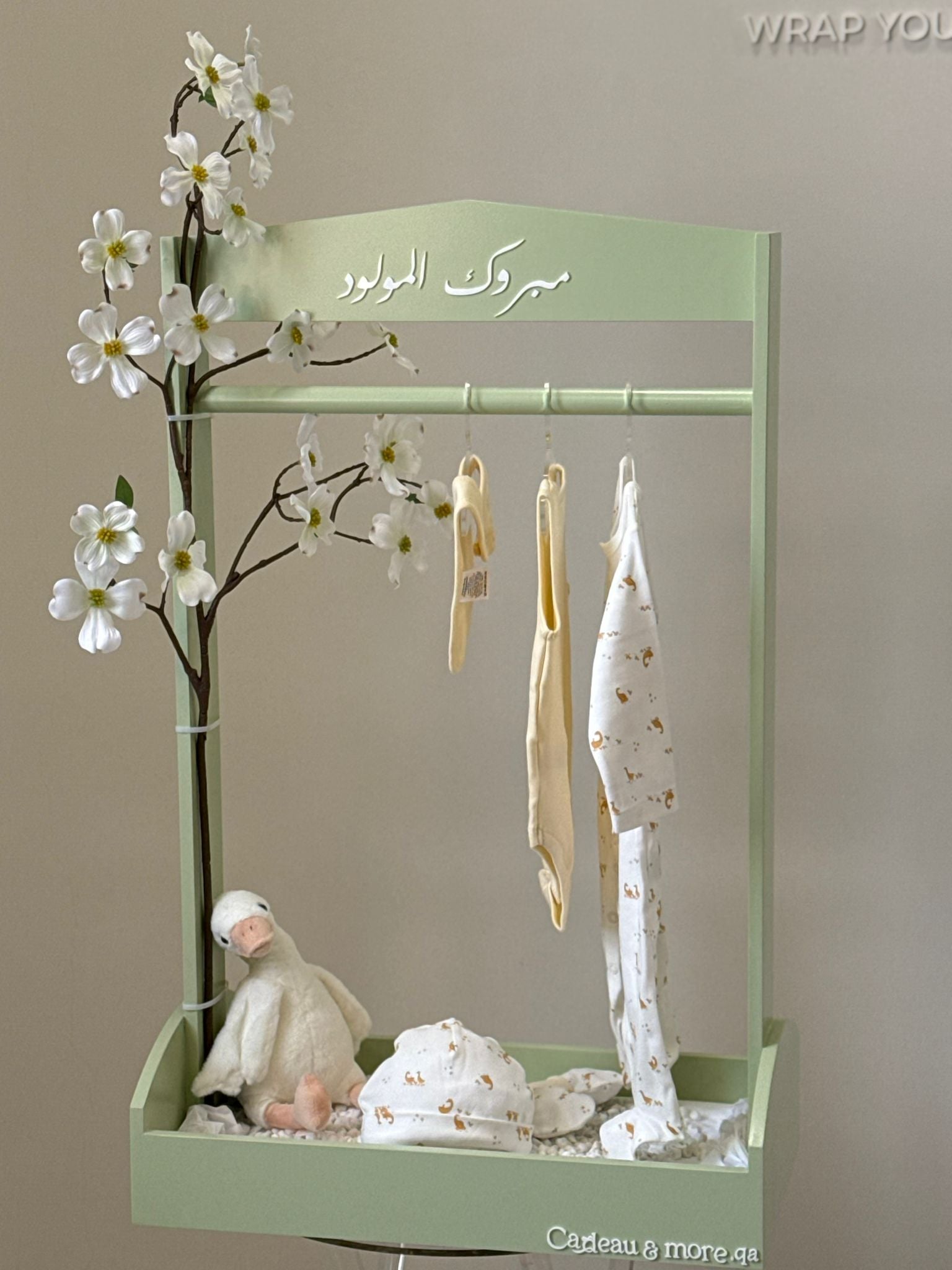 BABY BORN GIFT